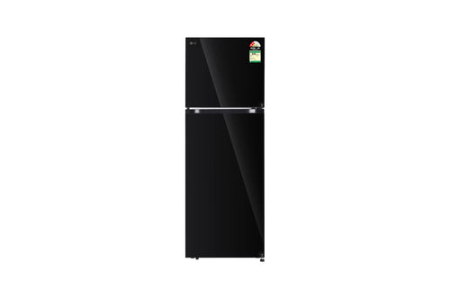 LG GLT4026SNBM 398L Double Door Refrigerator - Front View