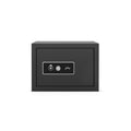 Godrej NX Pro Key Lock 15L Ebony Home Locker - Front View