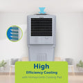 Symphony HiFlo 40 Room Air Cooler (HiFlo 40)