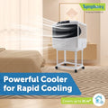 Symphony Sumo 60L Desert Air Cooler (Sumo 60)
