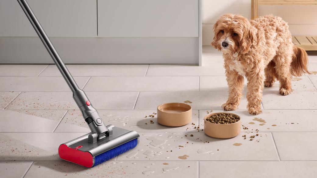 Dyson V12s - Picking Up Pet Mess