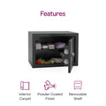 Godrej NX Pro Key Lock 15L Ebony - Lock Detail