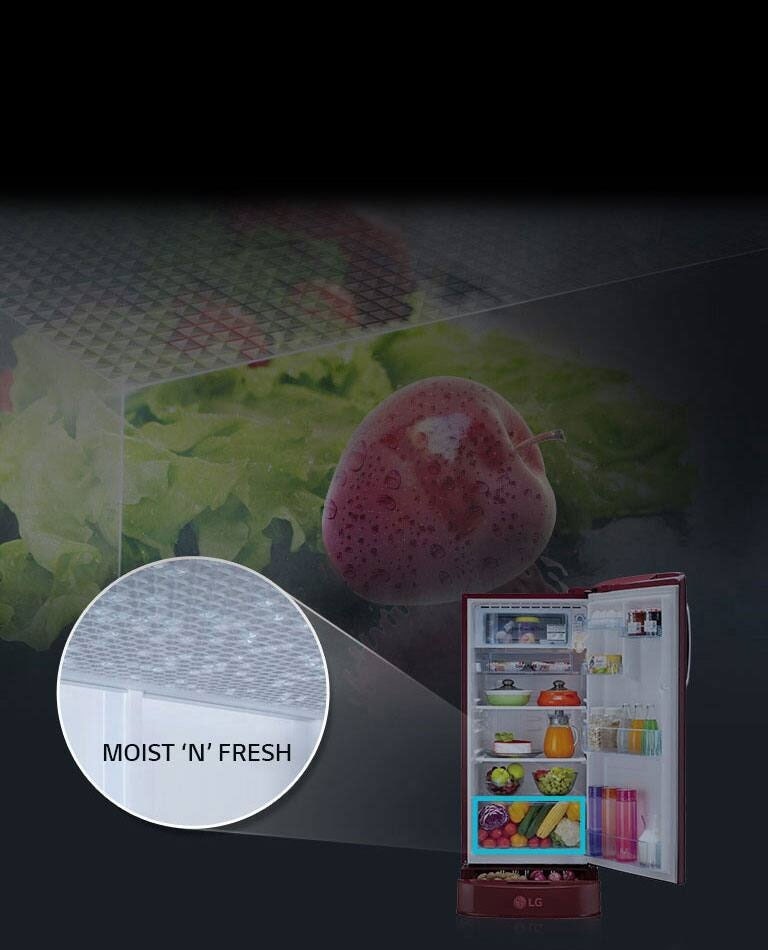 LG 185L 3 Star Direct Cool Single Door Refrigerator with Reciprocating Compressor