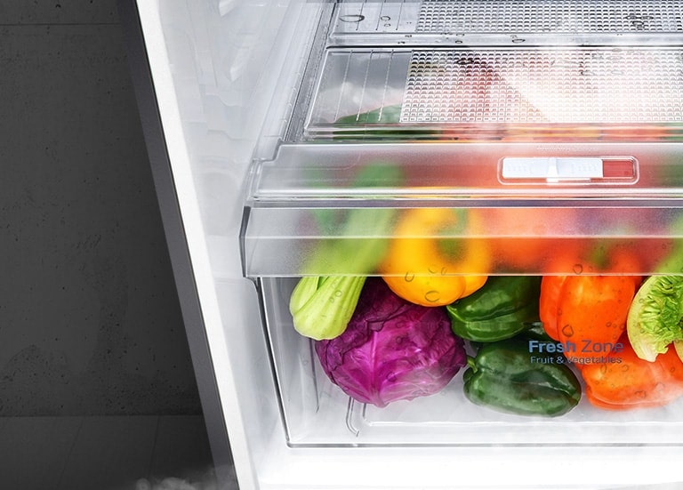 LG 288L Smart Inverter Convertible Double Door Refrigerator - Shiny Steel, 2 Star