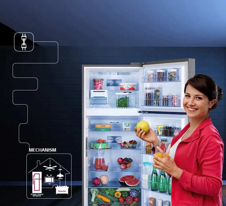 LG 343L Smart Inverter Frost-Free Double Door Refrigerator, Shiny Steel Finish