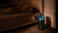 Dyson HushJet Purifier Compact (SP01)