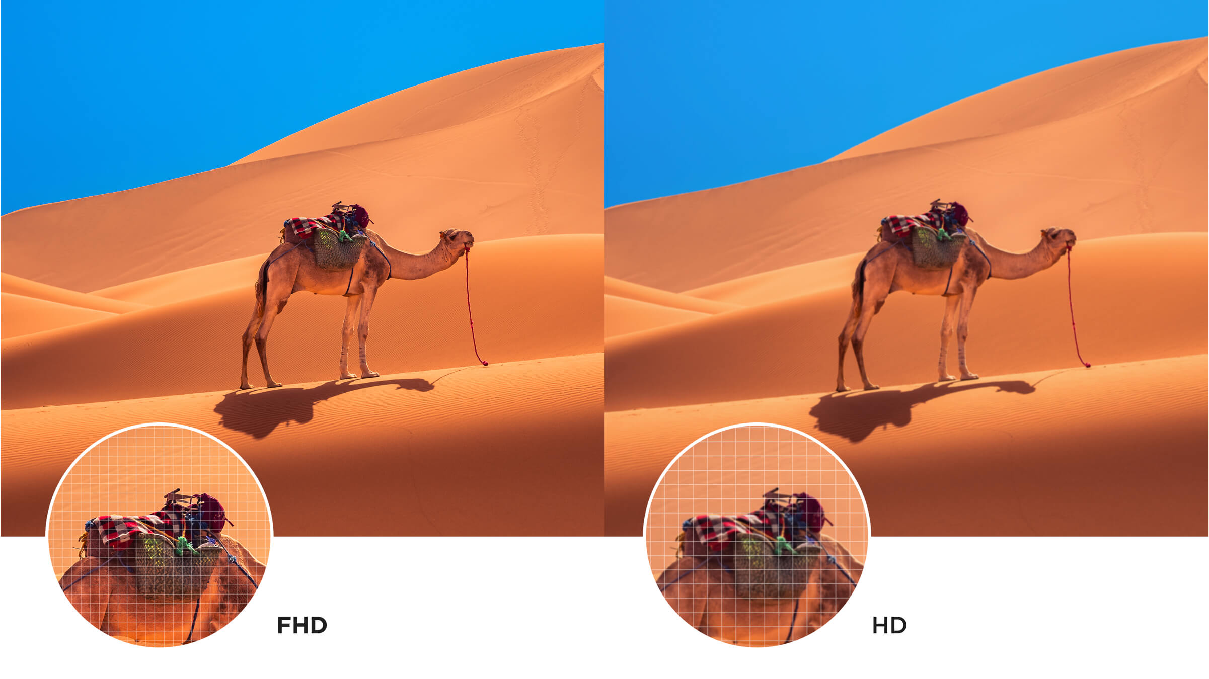 TCL S5K 2K QLED Full HD Google Smart TV: Vivid Colours, Immersive Audio, Slim Design