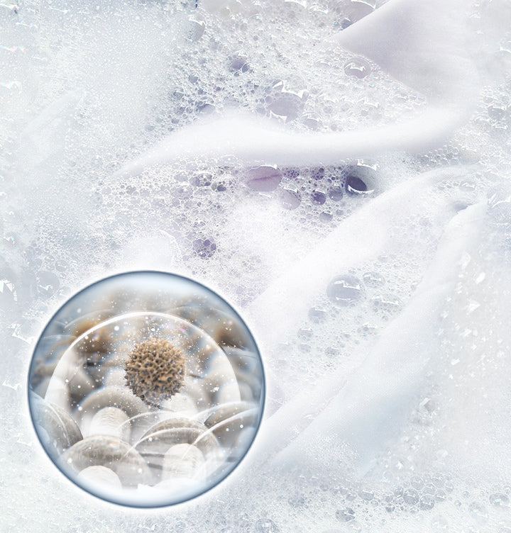 Samsung 8.0 kg EcoBubble Front Load Washing Machine with Hygiene Steam & DIT Motor