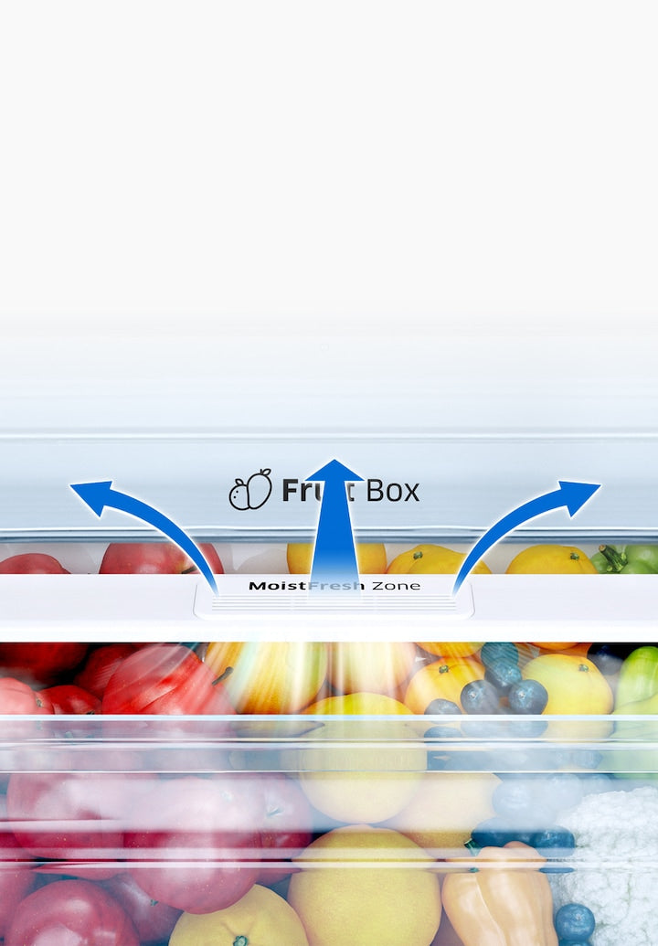 Samsung 236L Digital Inverter Double Door Refrigerator with All-around Cooling, Elegant Inox