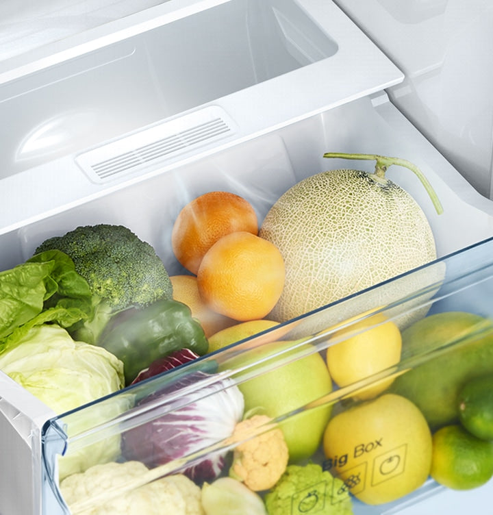 Samsung 236L Digital Inverter Double Door Refrigerator with All-around Cooling, Stabilizer-Free