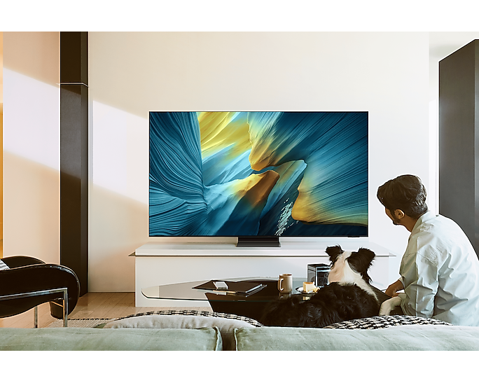 Samsung 65-inch S95F OLED 4K Smart TV with NQ4 AI Gen3 Processor
