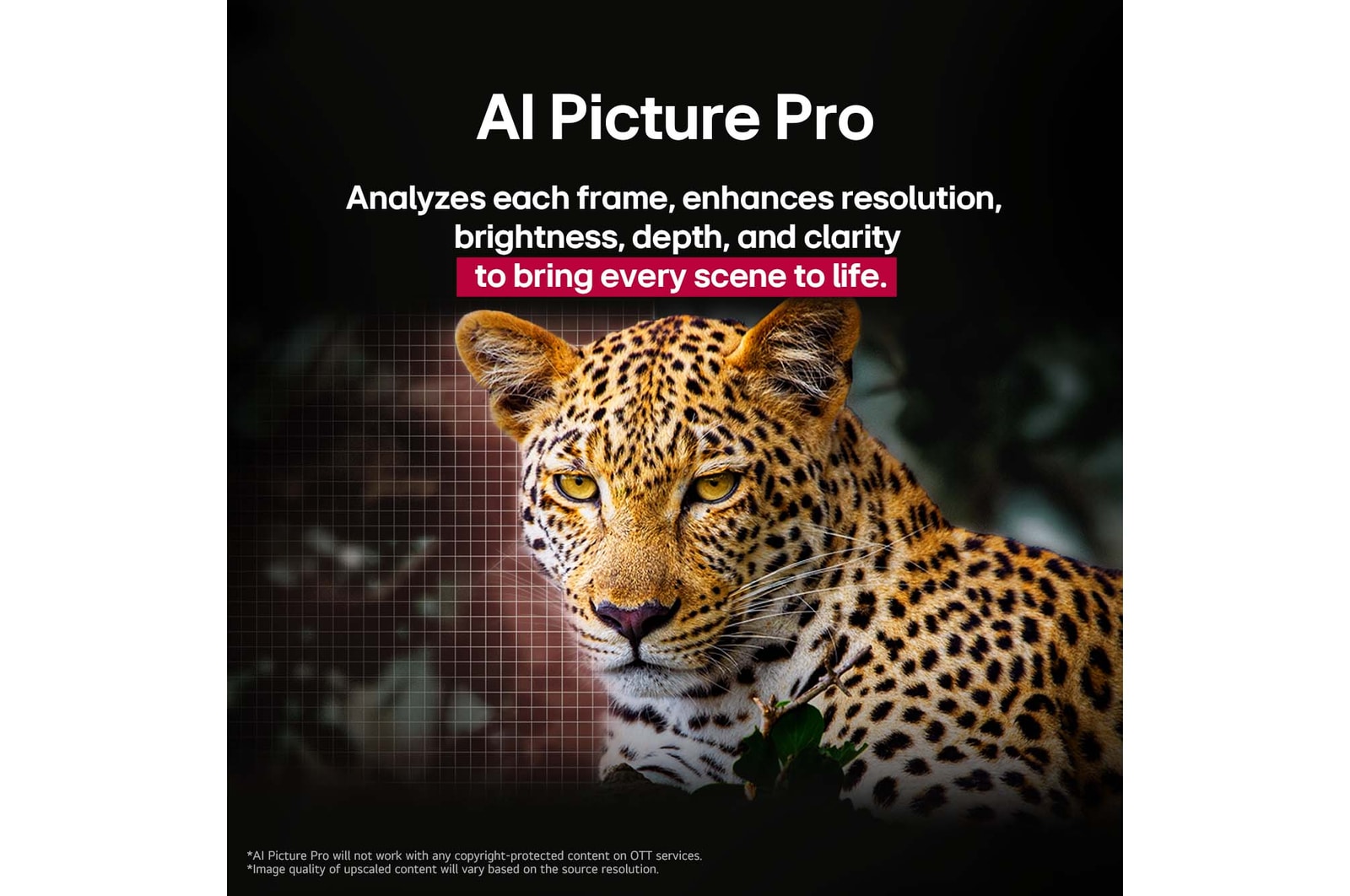 LG 164 cm (65-inch) OLED AI B5 4K Smart TV, α8 Gen2 Processor
