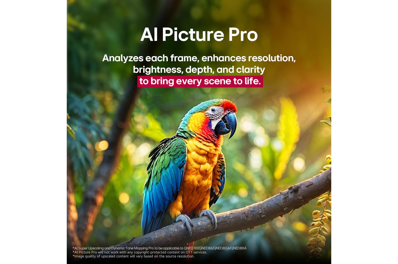 LG 75-inch 4K QNED MiniLED Smart TV with α8 AI Processor