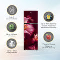 Whirlpool 235L 2 Star Frost Free Double Door Refrigerator with 6th Sense DeepFresh Technology Microblock Active Deo Wine Velvet (22318)
