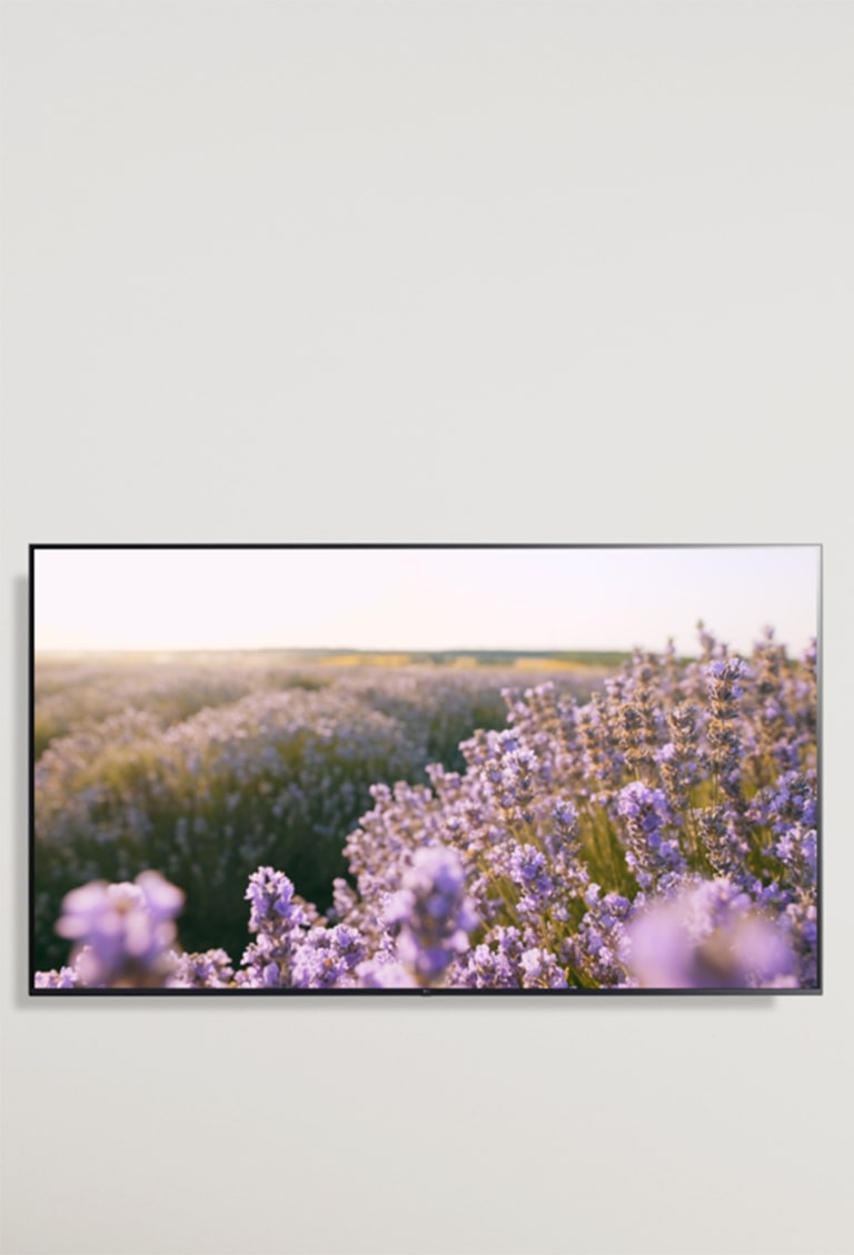 LG 80cm (32-inch) Smart HD TV with α5 AI Gen6 Processor, HDR10, Game Optimizer